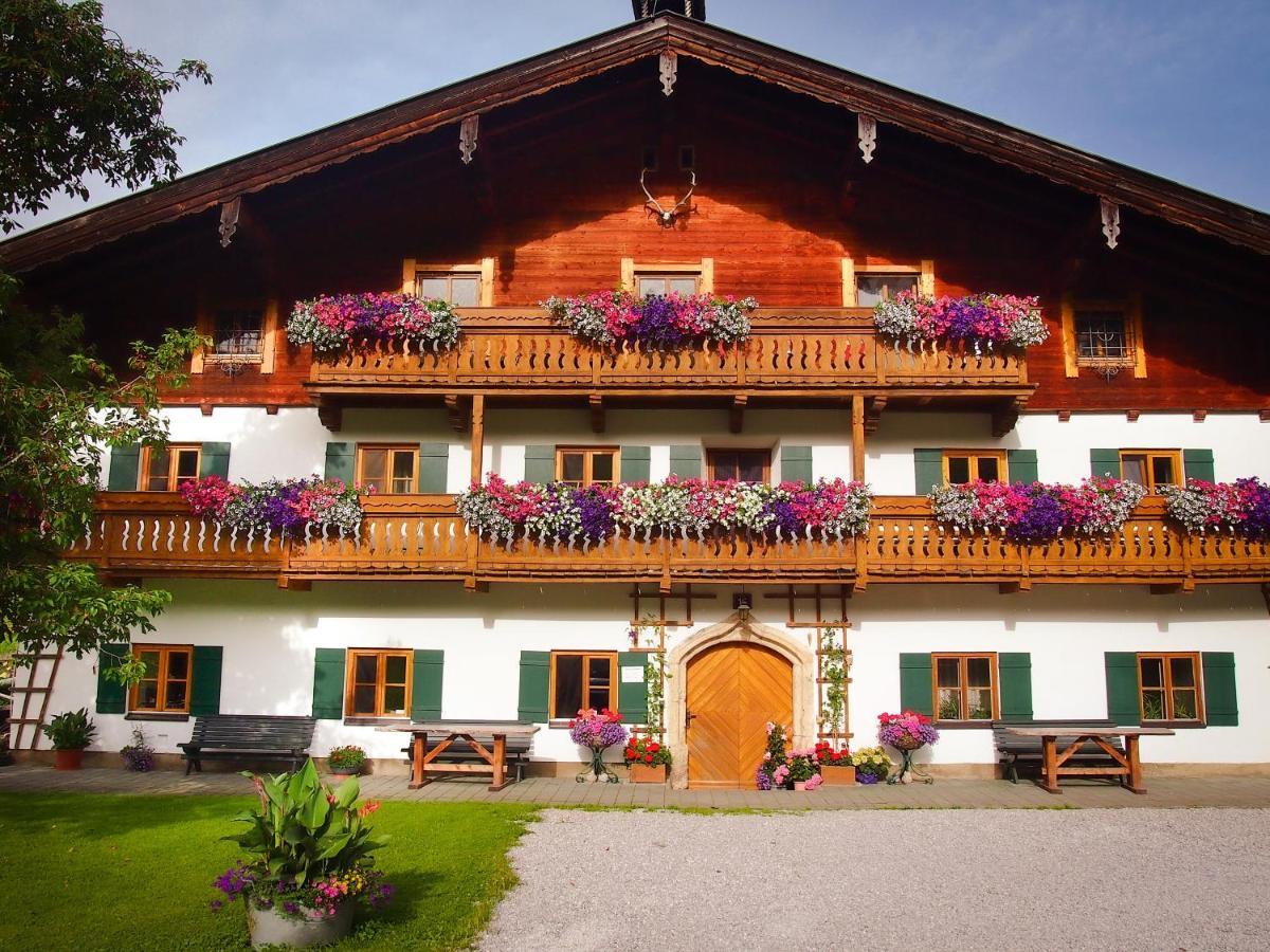 Biobauernhof Stegerbauer Lägenhet Maria Alm am Steinernen Meer Exteriör bild
