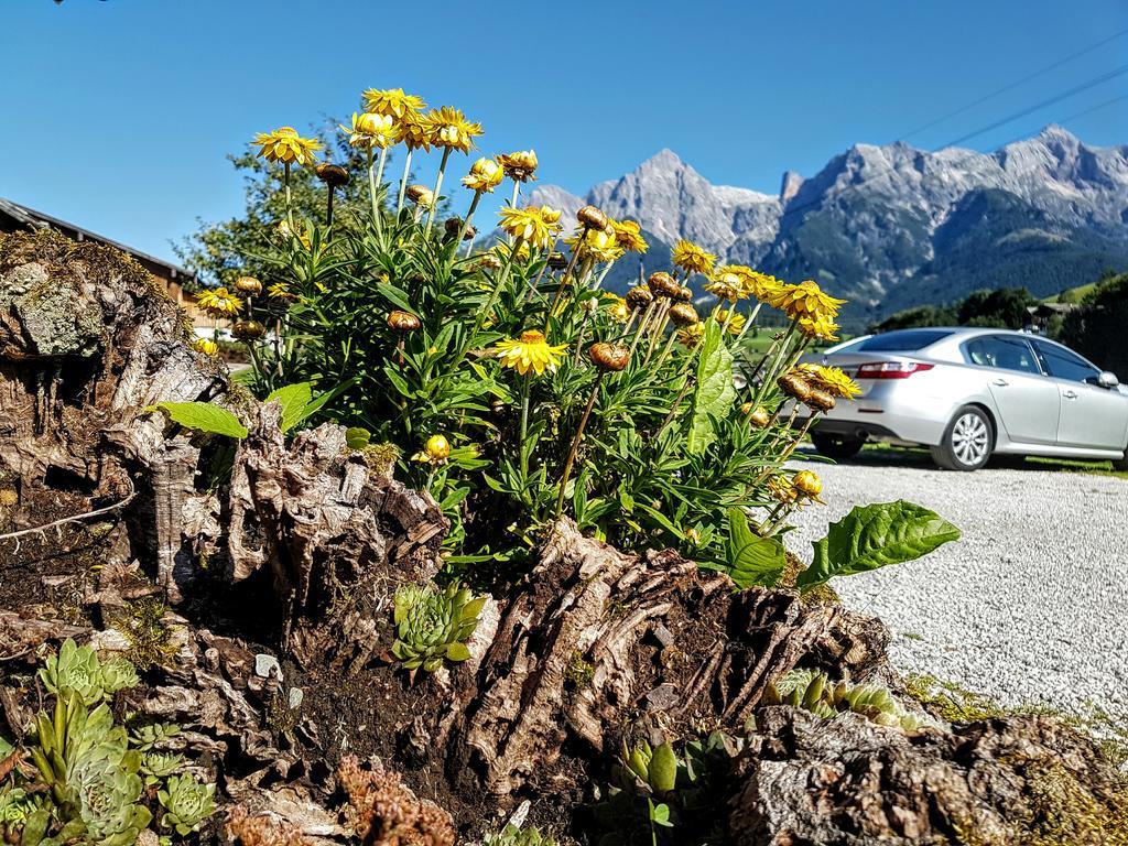 Biobauernhof Stegerbauer Lägenhet Maria Alm am Steinernen Meer Exteriör bild