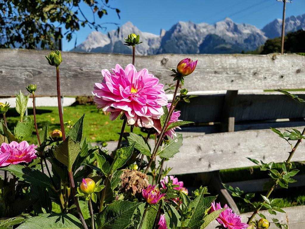 Biobauernhof Stegerbauer Lägenhet Maria Alm am Steinernen Meer Exteriör bild