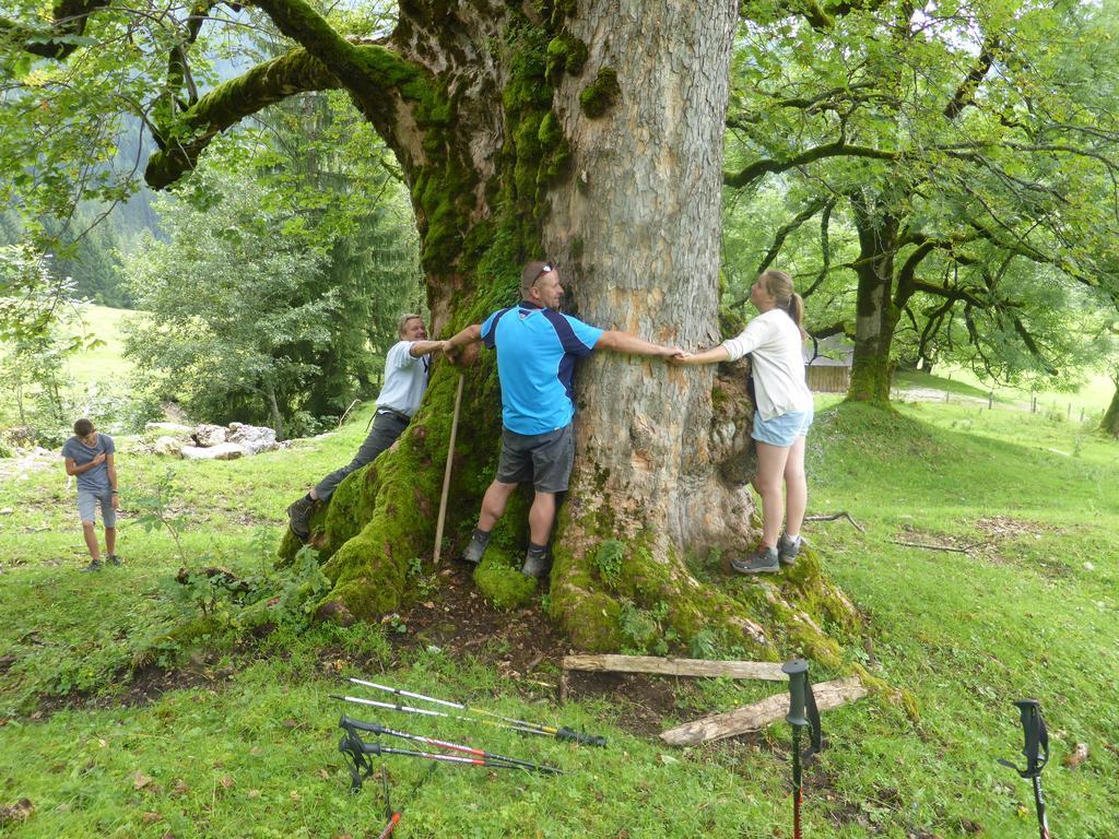 Biobauernhof Stegerbauer Lägenhet Maria Alm am Steinernen Meer Exteriör bild