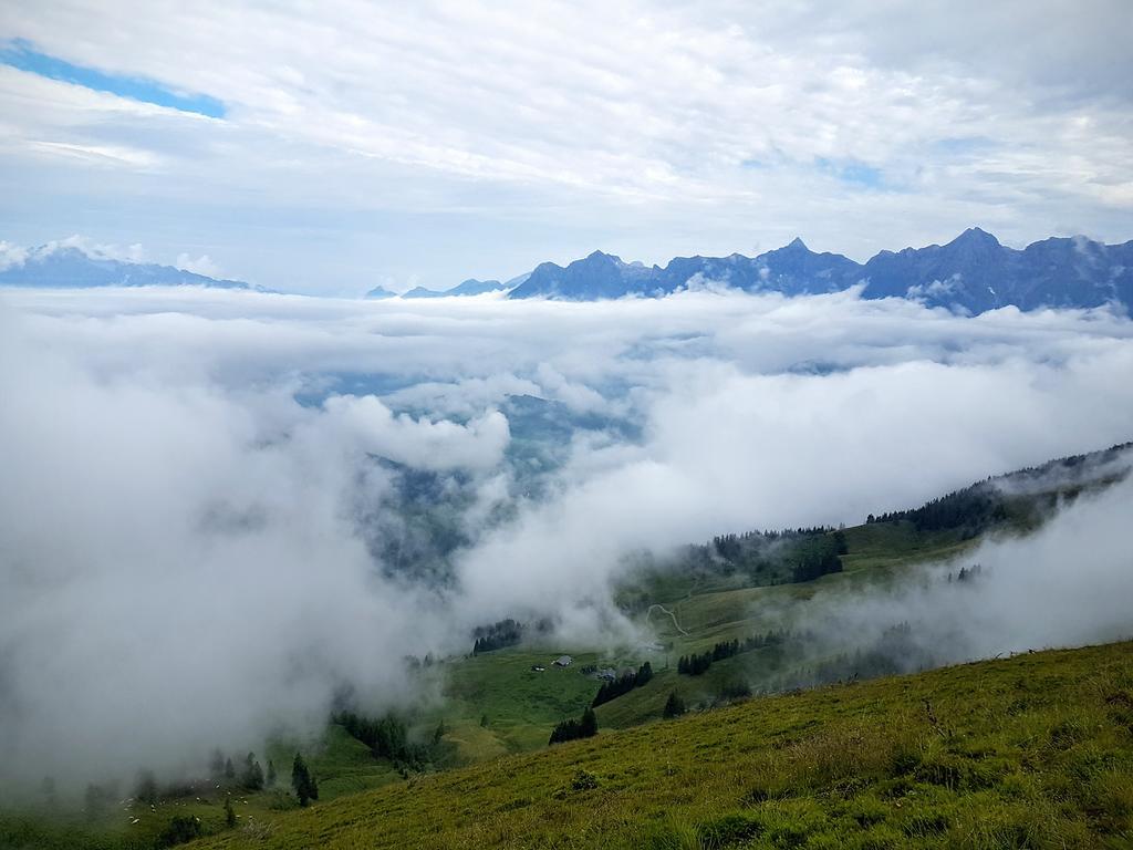 Biobauernhof Stegerbauer Lägenhet Maria Alm am Steinernen Meer Exteriör bild