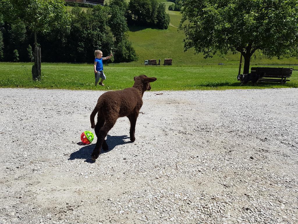 Biobauernhof Stegerbauer Lägenhet Maria Alm am Steinernen Meer Exteriör bild