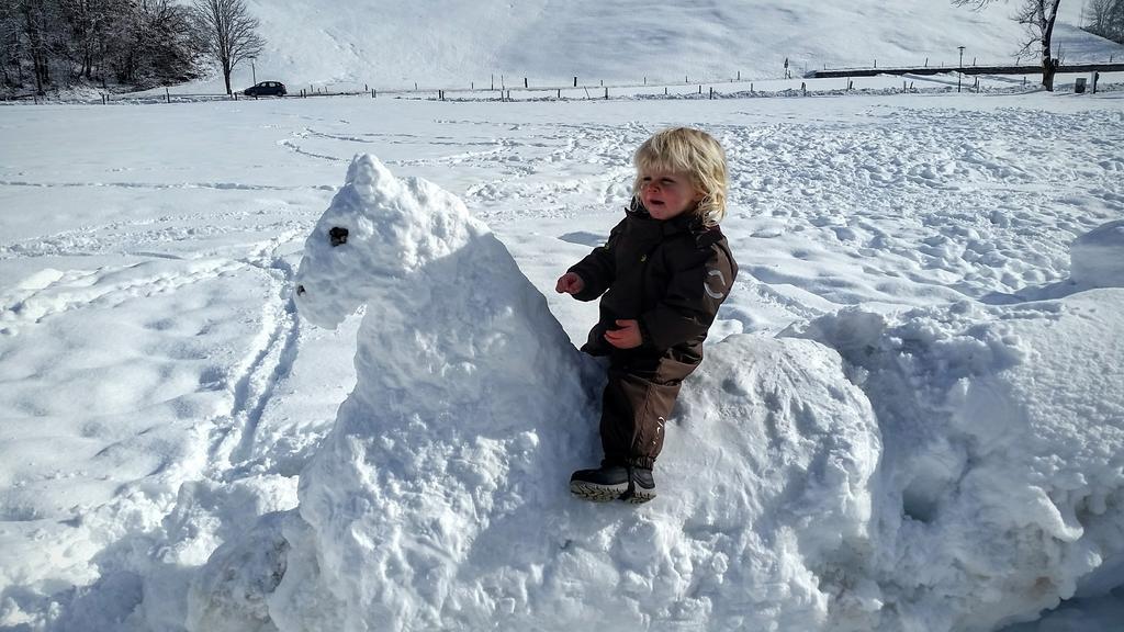 Biobauernhof Stegerbauer Lägenhet Maria Alm am Steinernen Meer Exteriör bild
