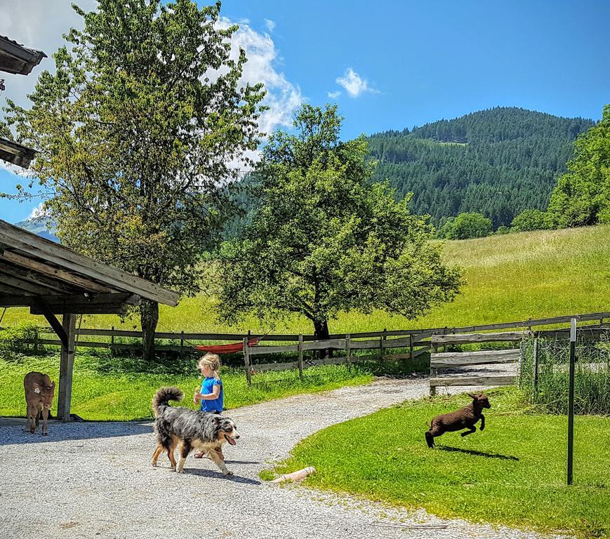 Biobauernhof Stegerbauer Lägenhet Maria Alm am Steinernen Meer Exteriör bild