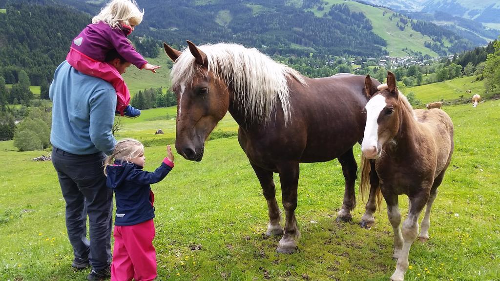 Biobauernhof Stegerbauer Lägenhet Maria Alm am Steinernen Meer Exteriör bild